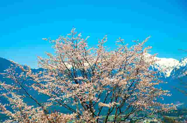 東京奧運(yùn)會(huì)中國(guó)第9金牌(東京奧運(yùn)會(huì)乒乓球設(shè)幾枚金牌)