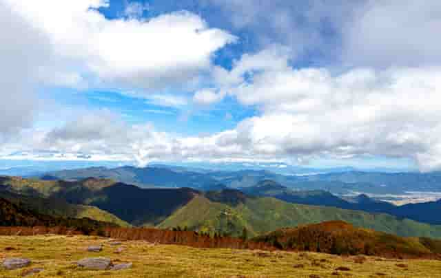 華夏南山松（鑫享版）終身壽險(xiǎn)榮獲2022金磚獎(jiǎng)·最具競(jìng)爭(zhēng)力保險(xiǎn)產(chǎn)品